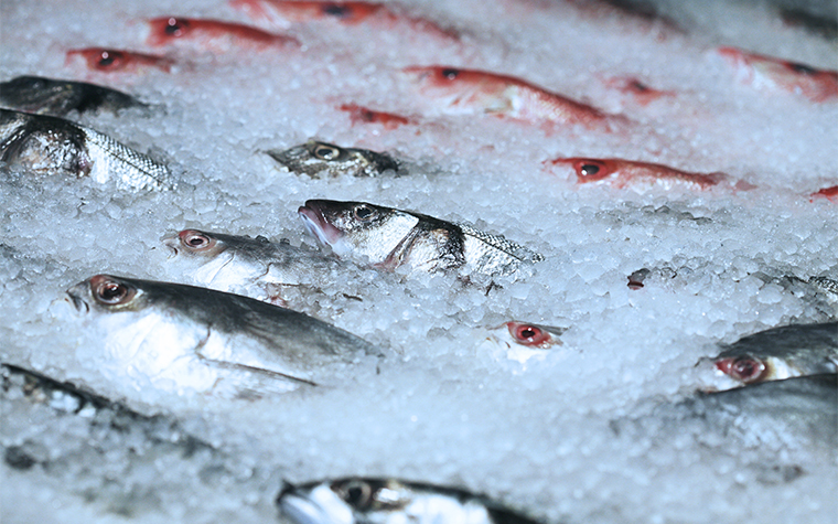 H947手持終端助力生鮮冷鏈管理 H947手持終端助力生鮮冷鏈管理